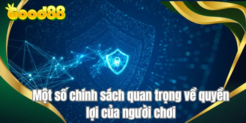 Một số chính sách quan trọng về quyền lợi của người chơi